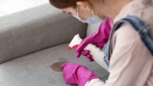 Odor Removal in Tiburon